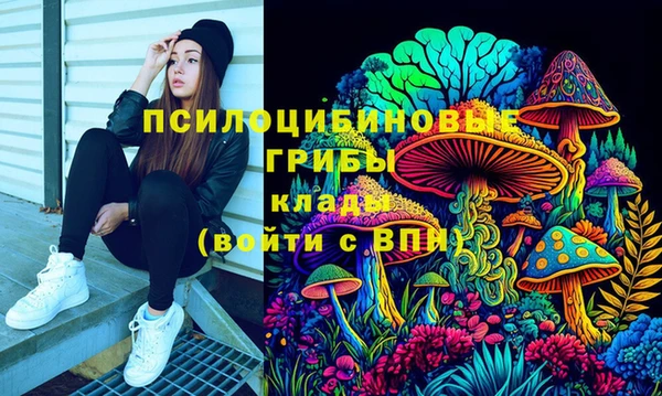 дживик Аркадак