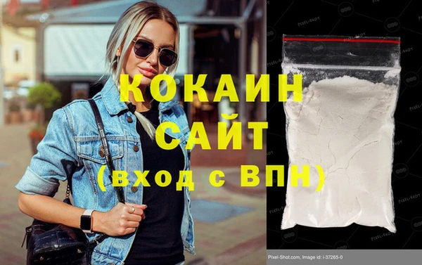 дживик Аркадак